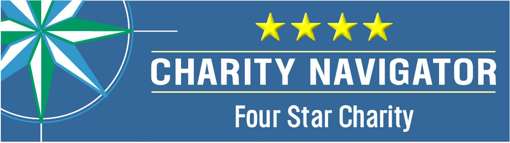 You are currently viewing Library Foundation Earns Coveted 4-Star Rating From Charity Navigator